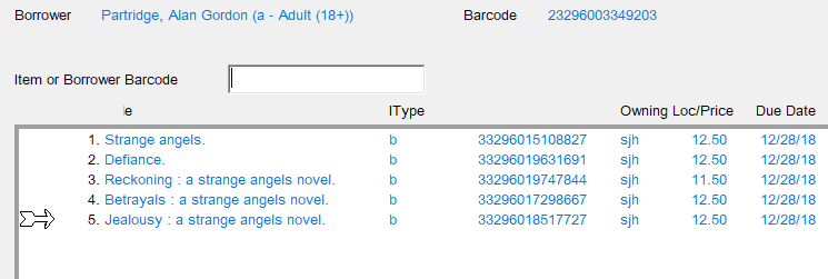 Checkout window showing a list of items checked out to a borrower