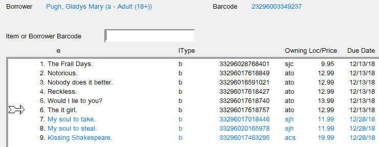 Checkout window showing all items checked out to a borrower